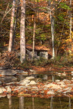 Captured Solitude - McCormick's Creek State Park