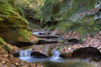 Captured Solitude - Fall Creek Gorge - Potholes